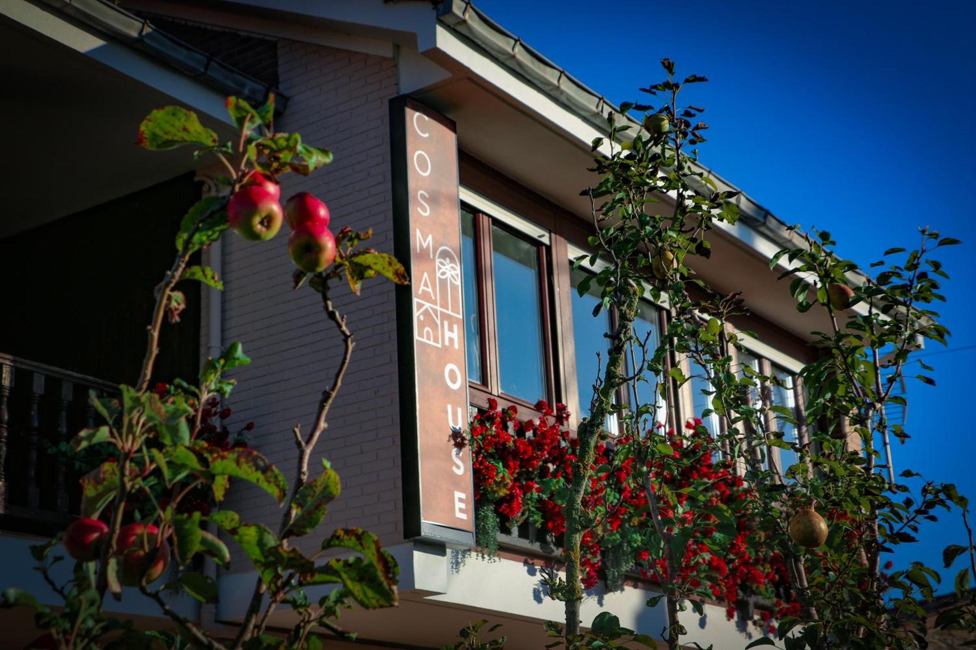 Guest house Cosma House